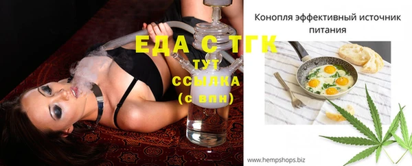 соль ск Новозыбков