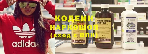 соль ск Новозыбков