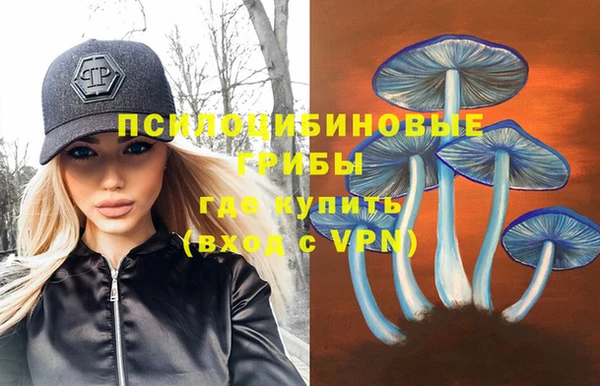 соль ск Новозыбков
