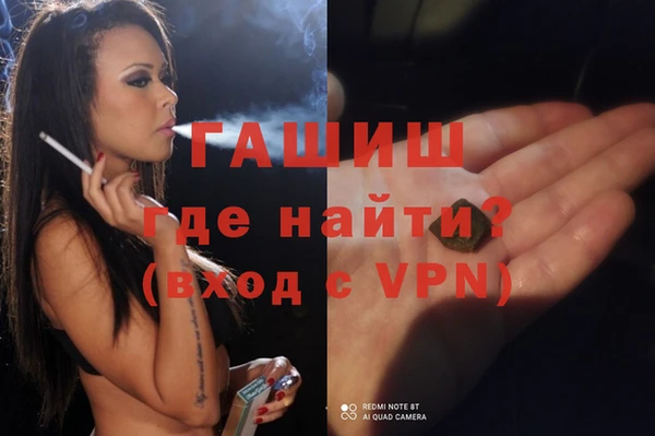 соль ск Новозыбков