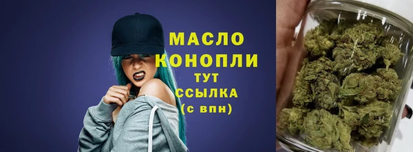 соль ск Новозыбков