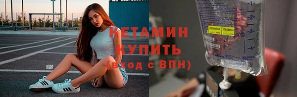 соль ск Новозыбков