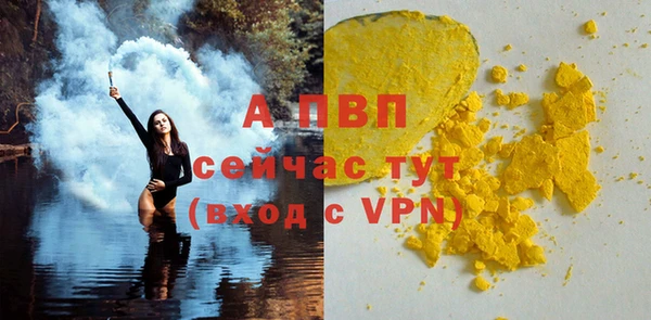 соль ск Новозыбков