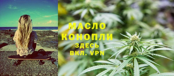 соль ск Новозыбков