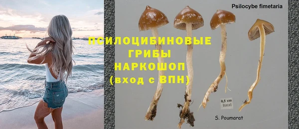 MDMA Premium VHQ Белая Калитва